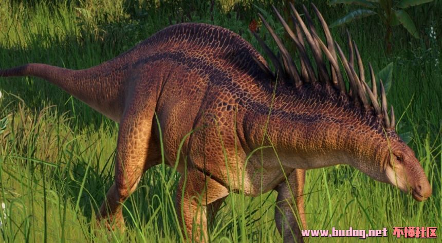 123547neagaycranwarsrm.jpg