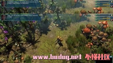 103934a59onnfmie3qinfc.jpg