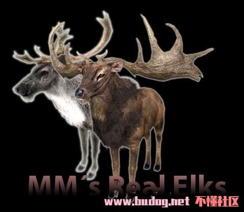 101408a8gk092oa8jksoqr.jpg