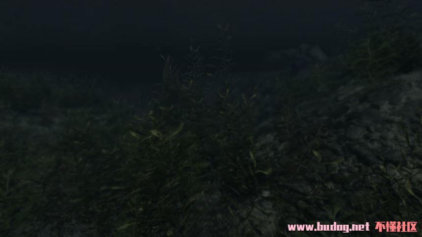 122752e6xawwmoeqwyolim.jpg