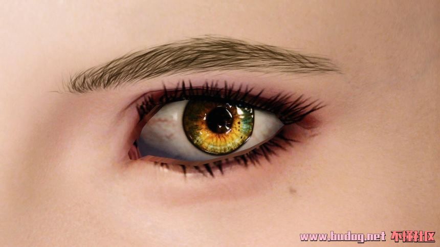 131318v4nrvn797pbg9o9l.jpg